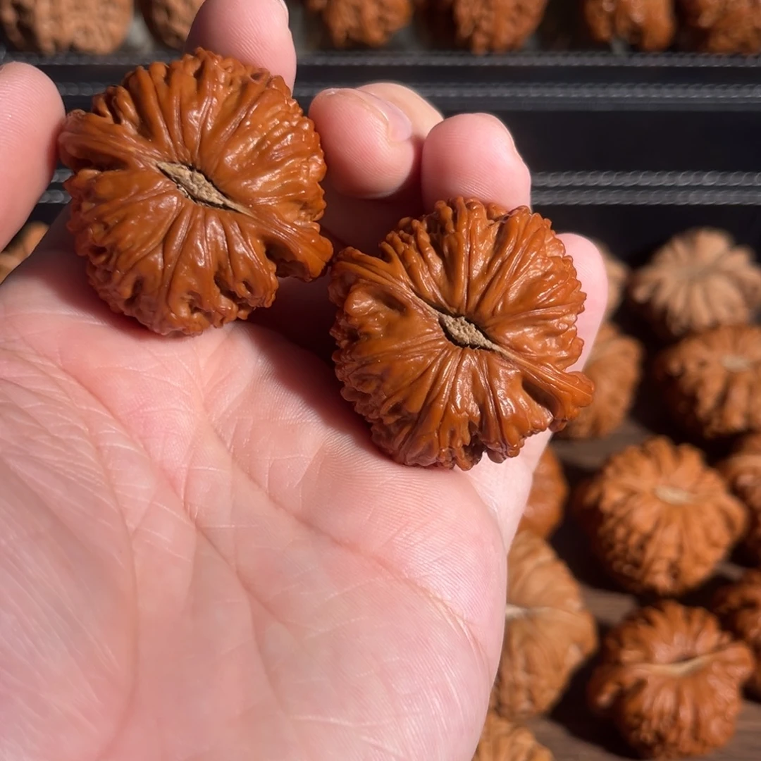 手串/手链核桃41回血闷白