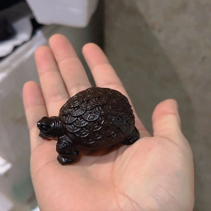 木黑檀木7金钱龟一只