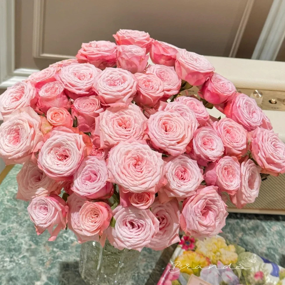 七叶花坊# 【鸟巢-俏溪阳多头】高品质鲜花 顺丰直发玫瑰花修剪