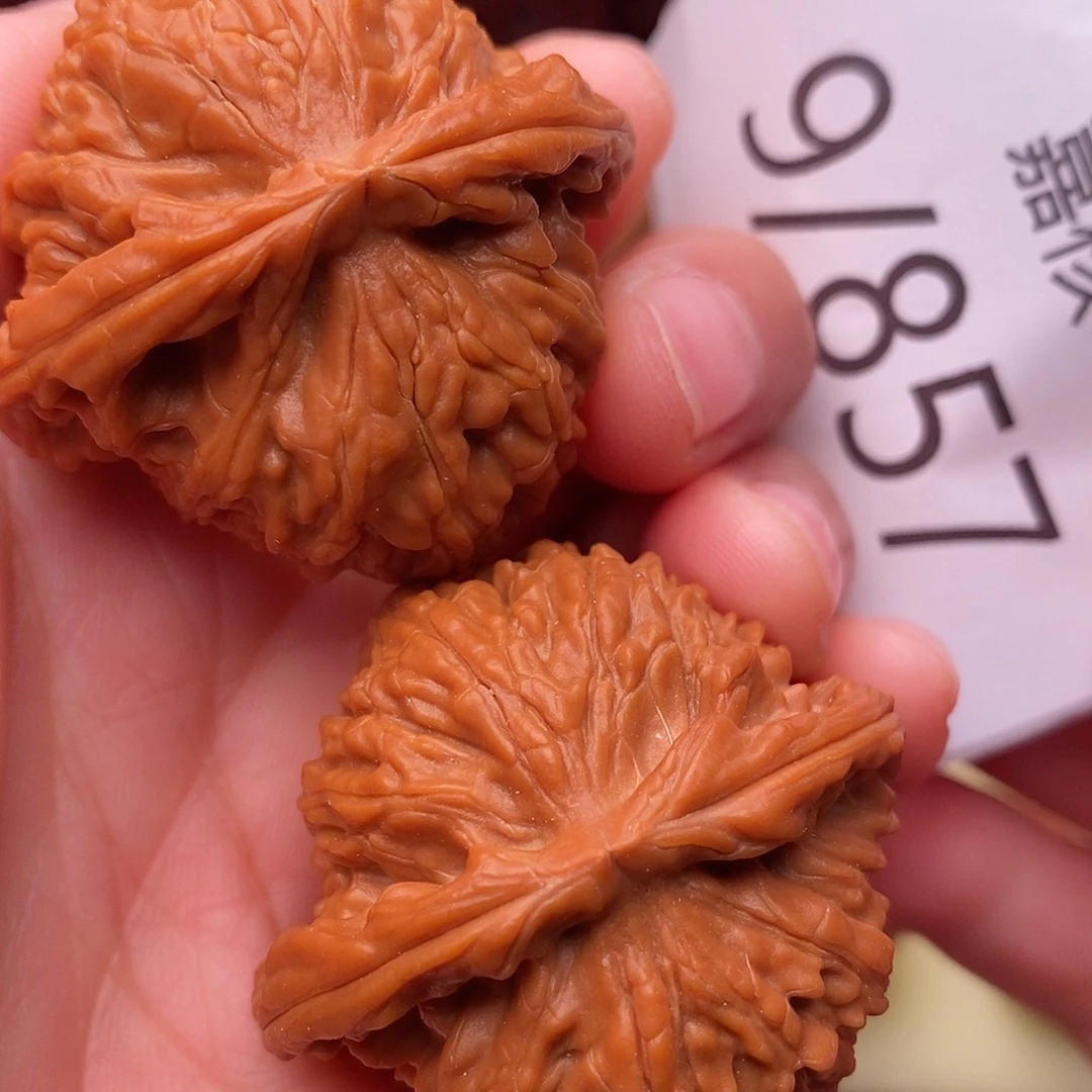 把件文玩核桃40.5白狮子