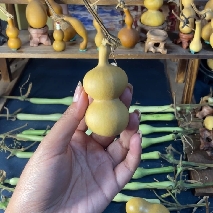 直播间商品一物一拍