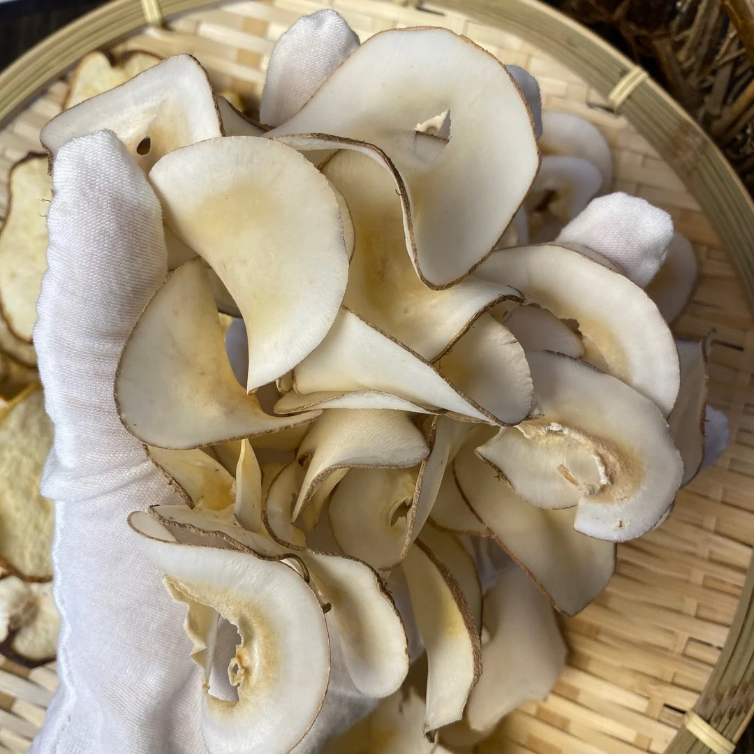 海底椰 煲汤煮水