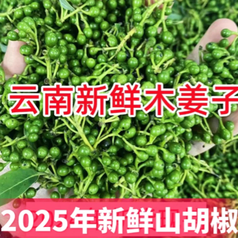 云南山胡椒木姜子新鲜山苍子香料调味食材调味料