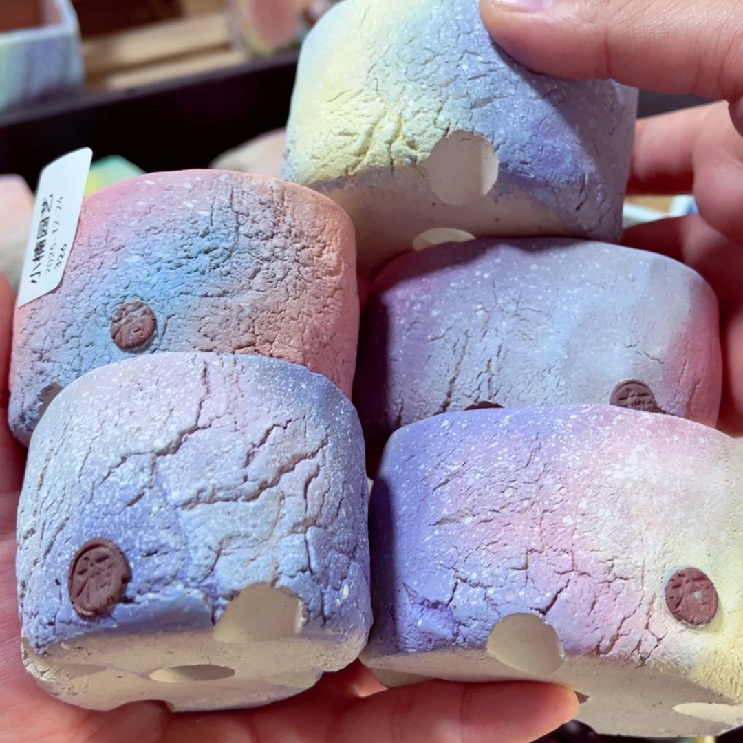 墨***茉326号带盆盆包邮发货