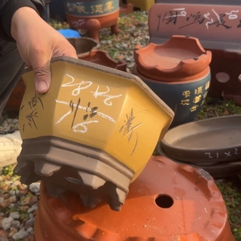 红陶紫砂花盆盆景盆栽