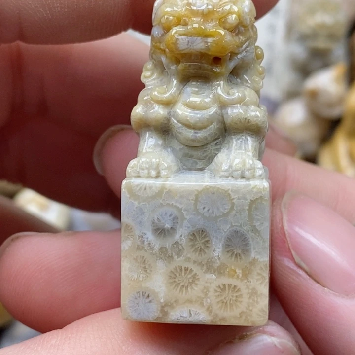 颈饰未镶嵌硅化珊瑚（珊瑚玉）