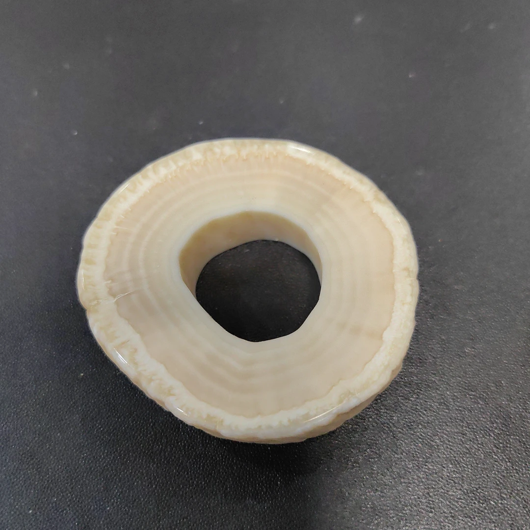 猛犸猛犸独把件TT1573