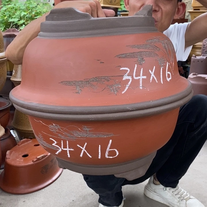紫砂紫砂紫砂紫砂