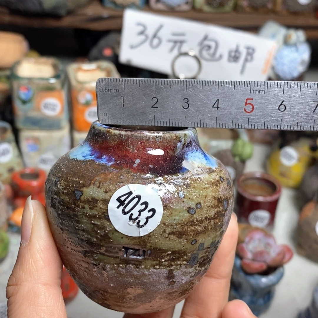 花盆拍5送一个小礼物
