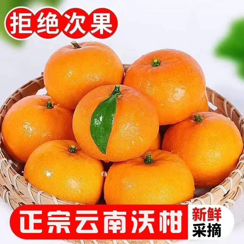 云南高山沃柑新鲜水果酸甜可口桔子柑橘高原直发（花皮果）