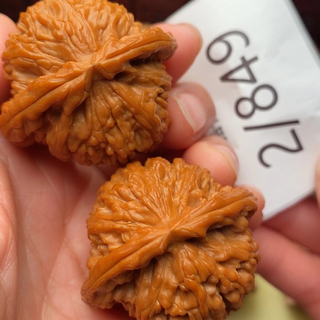 把件文玩核桃41.5白狮子