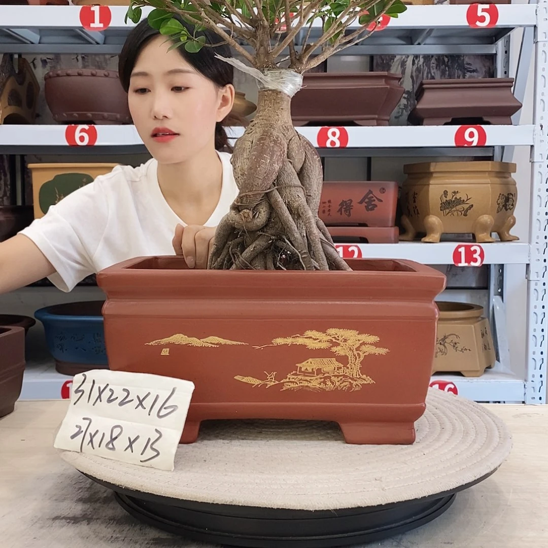 洪***哥紫砂花盆紫砂花盆五个