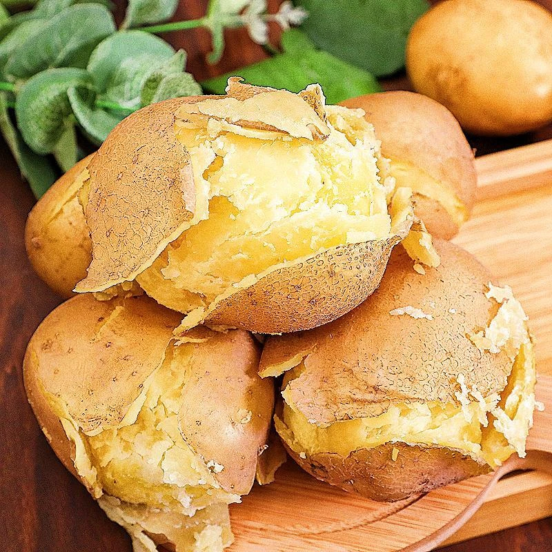 定西土豆甘肃高原土豆洋芋马铃薯面纱新鲜沙地