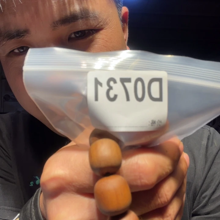 大叶紫檀（黑酸枝木类）731