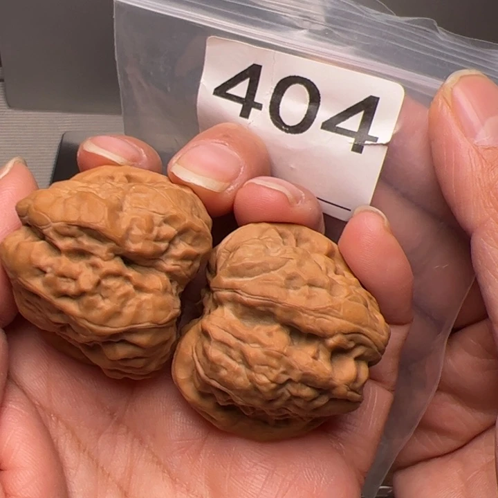 核桃37尺37肚404号四开背