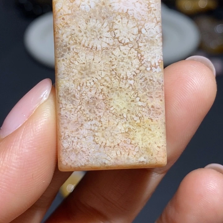 【闪购商品】未镶嵌珊瑚玉硅化玉
