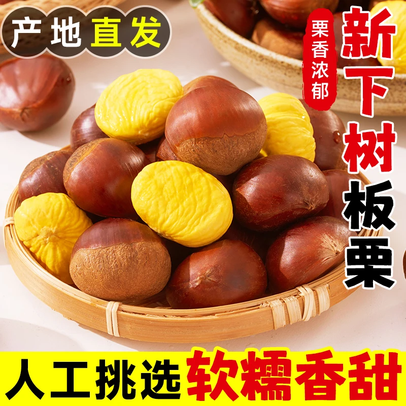 2025年东北老品种大板栗栗子生新鲜采摘板栗生板栗燕山油栗新货