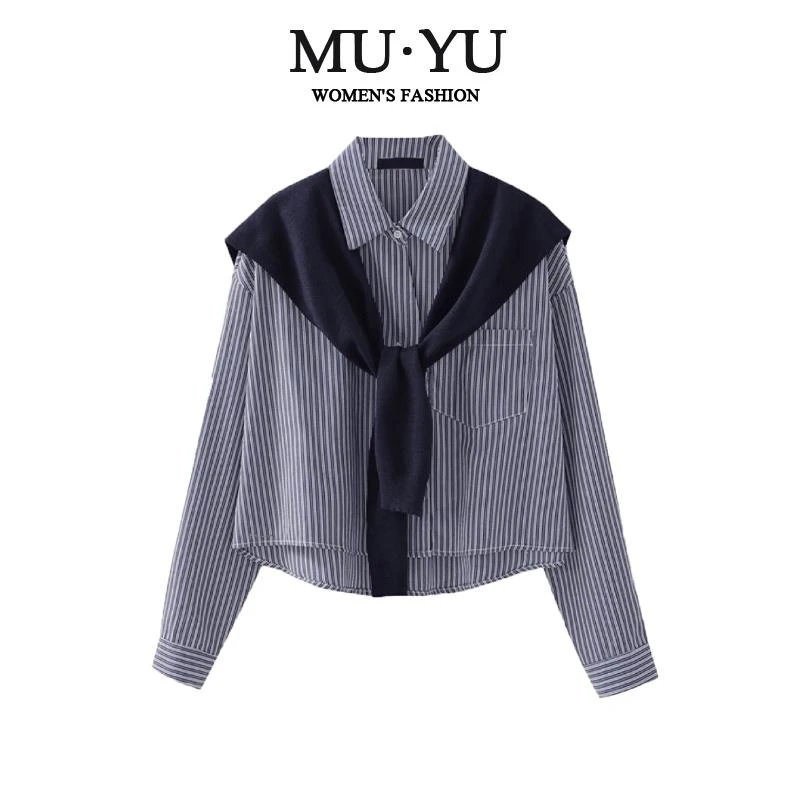 春季穿搭2025新款设计感时尚法式蓝色条纹衬衫小众宽松长袖上衣女