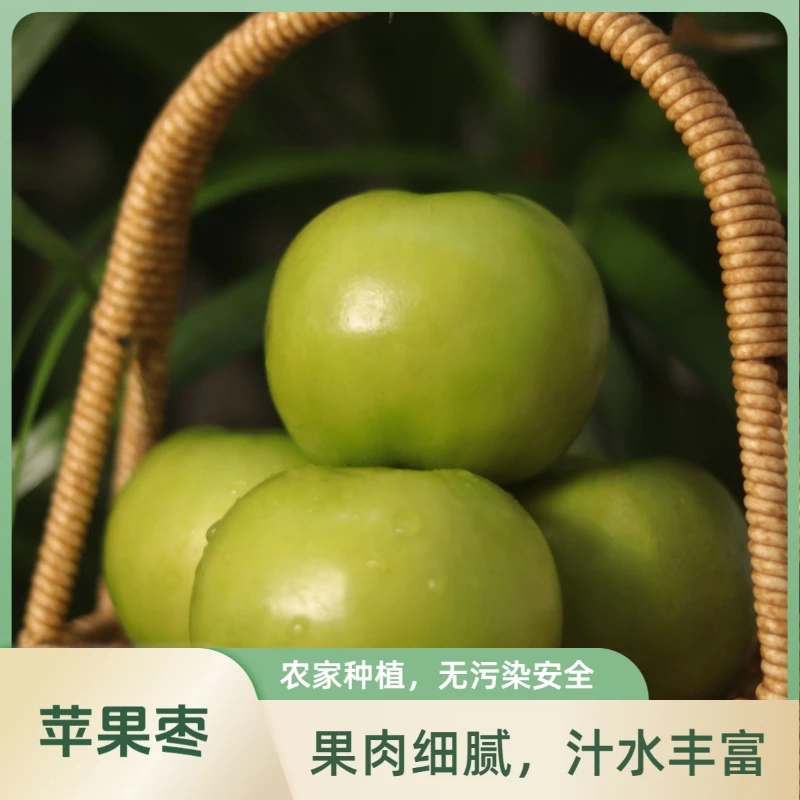 云南西双版纳新鲜苹果枣水果酸甜脆多汁产地直发包邮