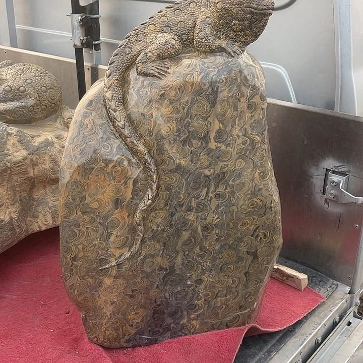 灵璧石金钱石大蜥蜴