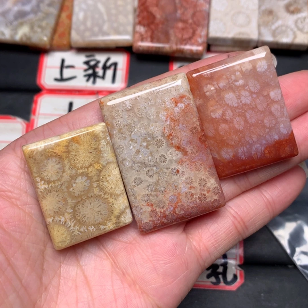 【闪购商品】硅化玉颈饰未镶嵌丹****7