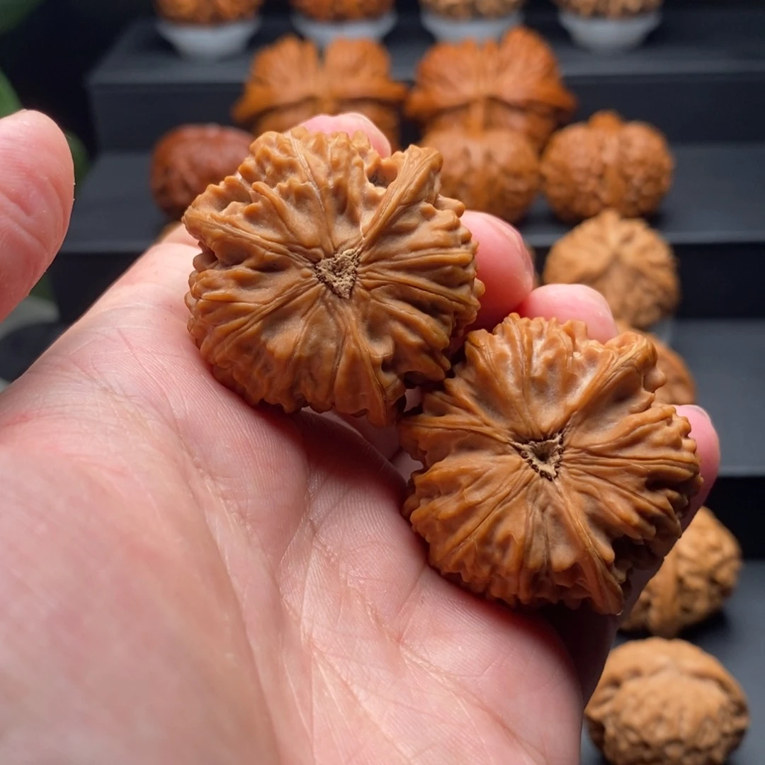 把件文玩核桃莫*御龙粗筋三棱