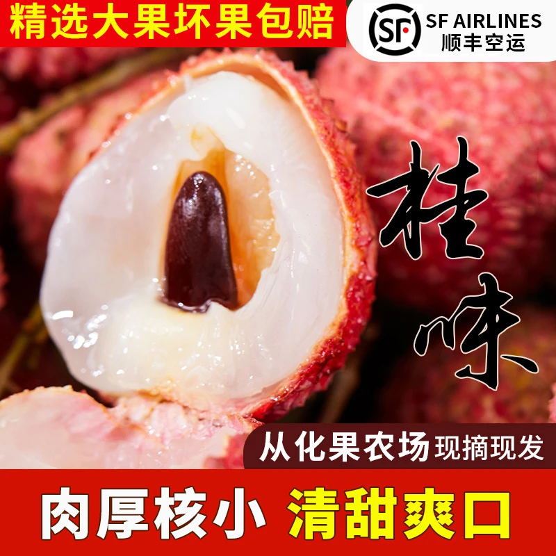 【顺丰空运-糯米糍+桂味荔枝】茂名高州山地老树果小核荔枝干爽发货