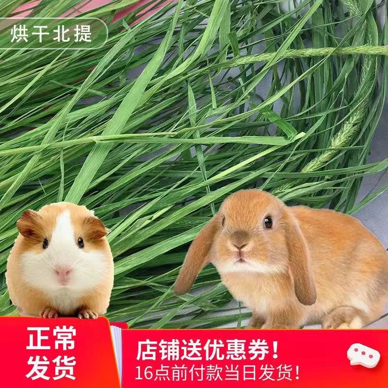 头茬烘干提摩西草段 北提草 兔子干草 龙猫饲料粮食