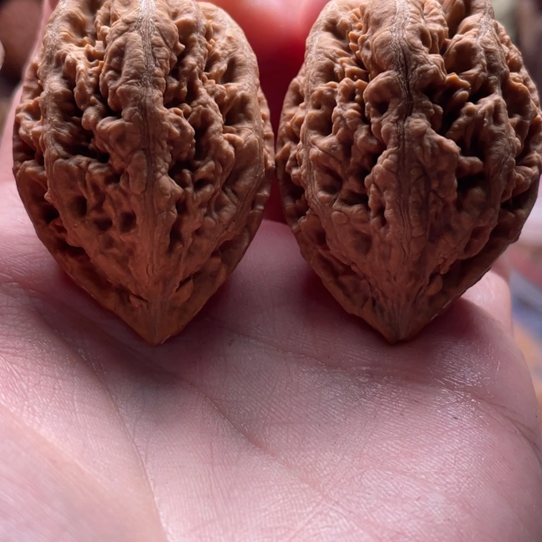 把件文玩核桃楸刀鱼20