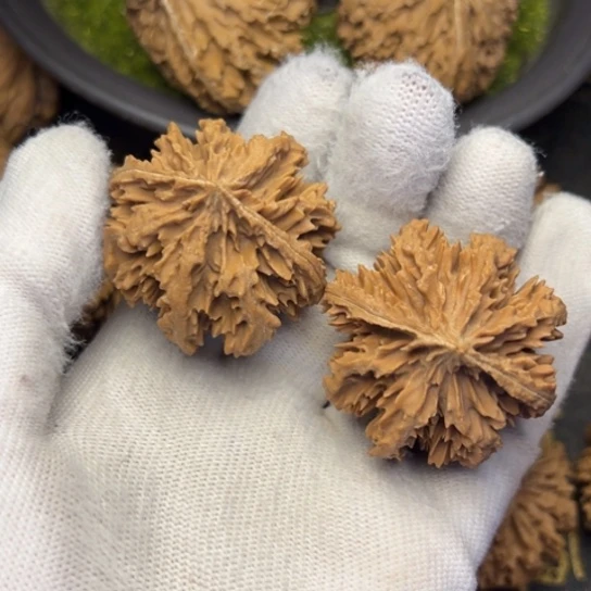 不***菜把件文玩核桃秦岭核桃205