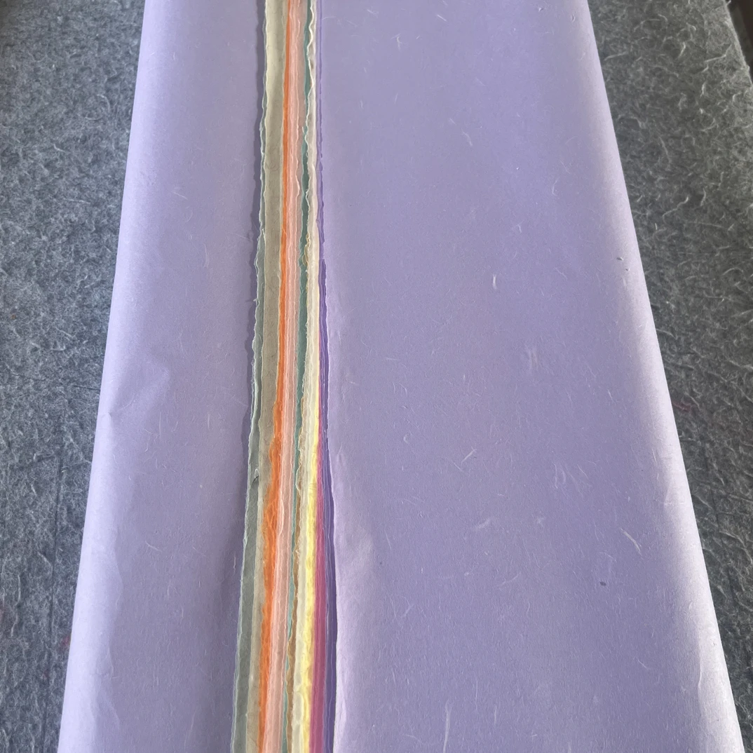 纯手工四尺十色云龙皮纸