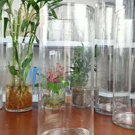 玻璃昌达玻璃直筒高度35口径15