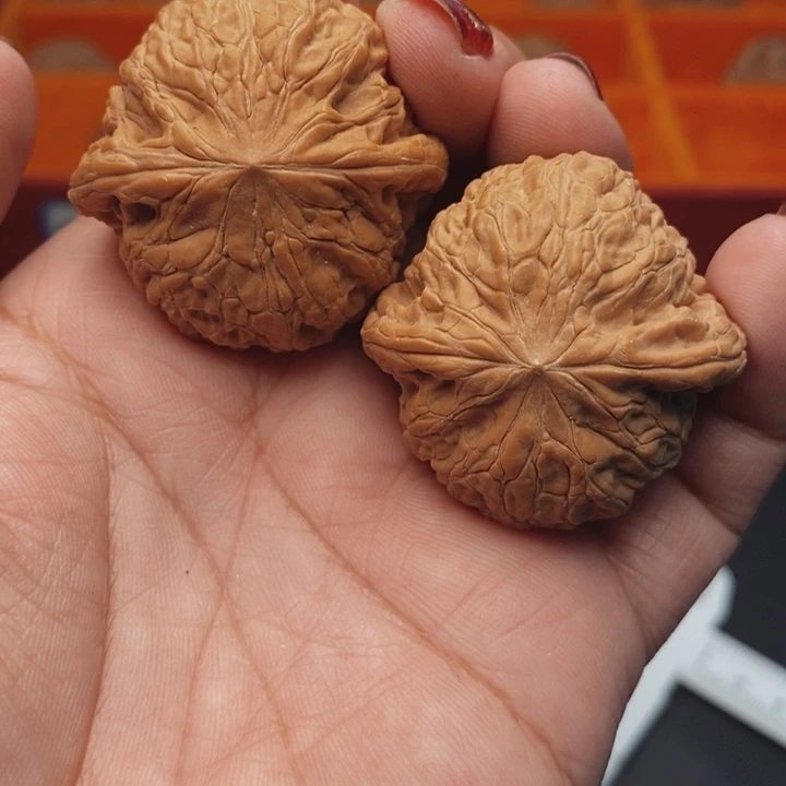 核桃铁锤核桃39尺