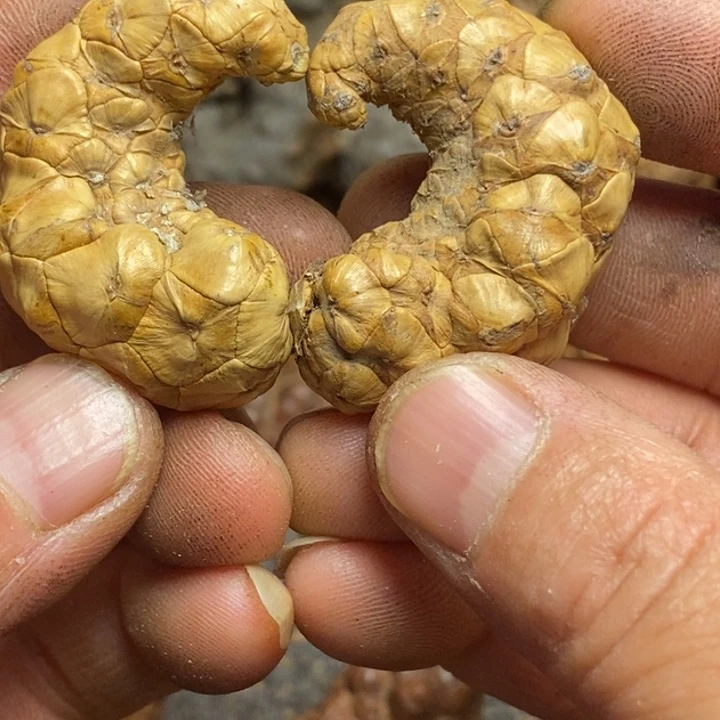 文玩核桃吊坠东北特产239