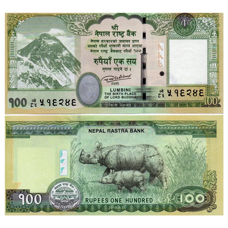 尼泊尔100卢比纸币 2019年 犀牛 美洲钱币 P-80全新UNC