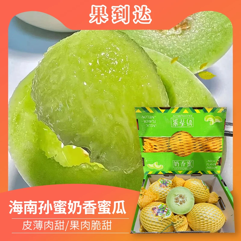 【礼盒】海南孙蜜奶香蜜 蜜瓜5粒礼盒净重 10-11斤