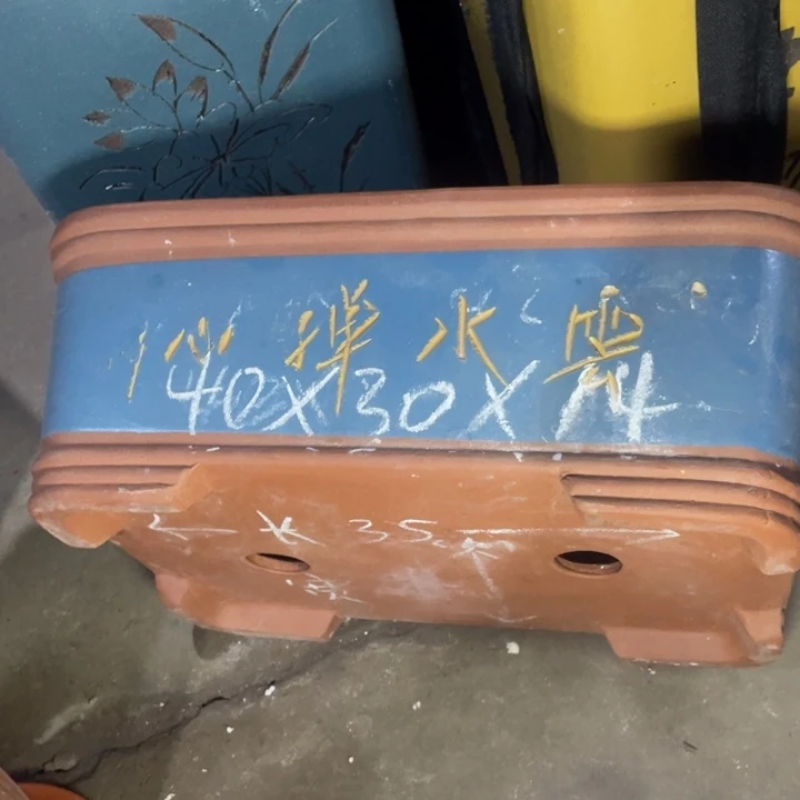 周深周深周深周深周深