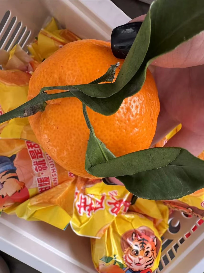 安氏虎头丑橘  纯甜爆汁