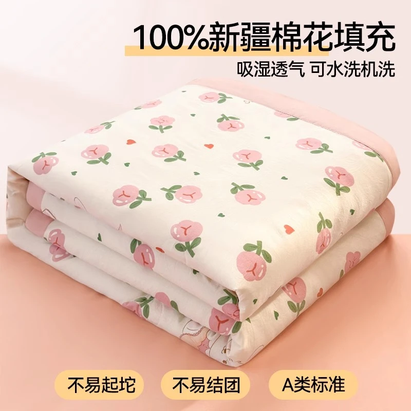A类新疆棉花夏凉被2025新款空调被纯棉全棉可机洗单人夏季薄被子1