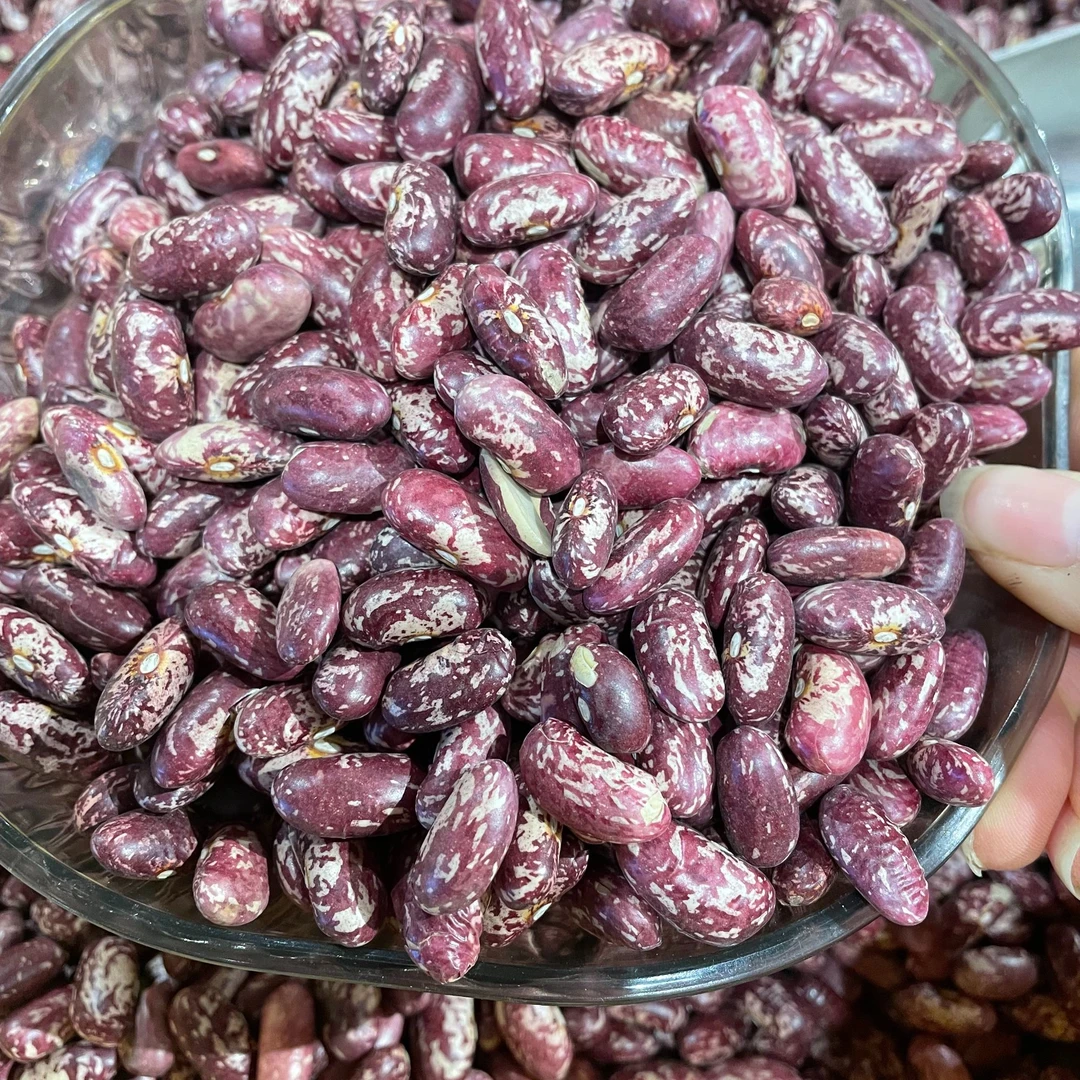 甄选贵州农家优质新花豆花豆米