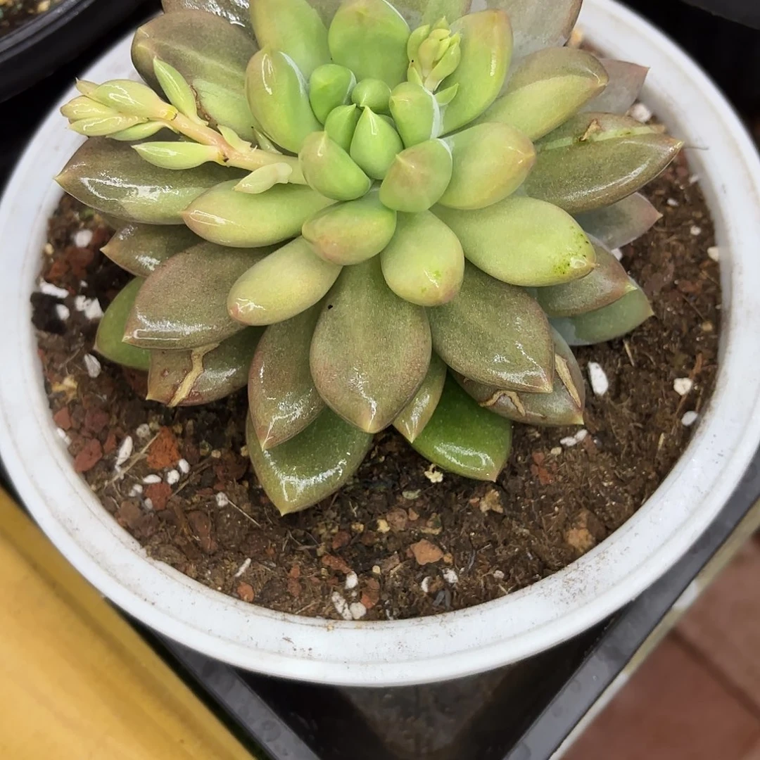 小***…啦啦啦啦啦啦啦啦啦啦