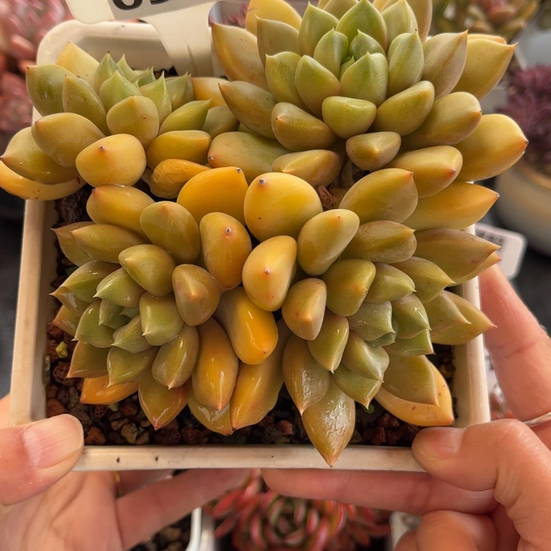 0914 天冷必拍保温箱