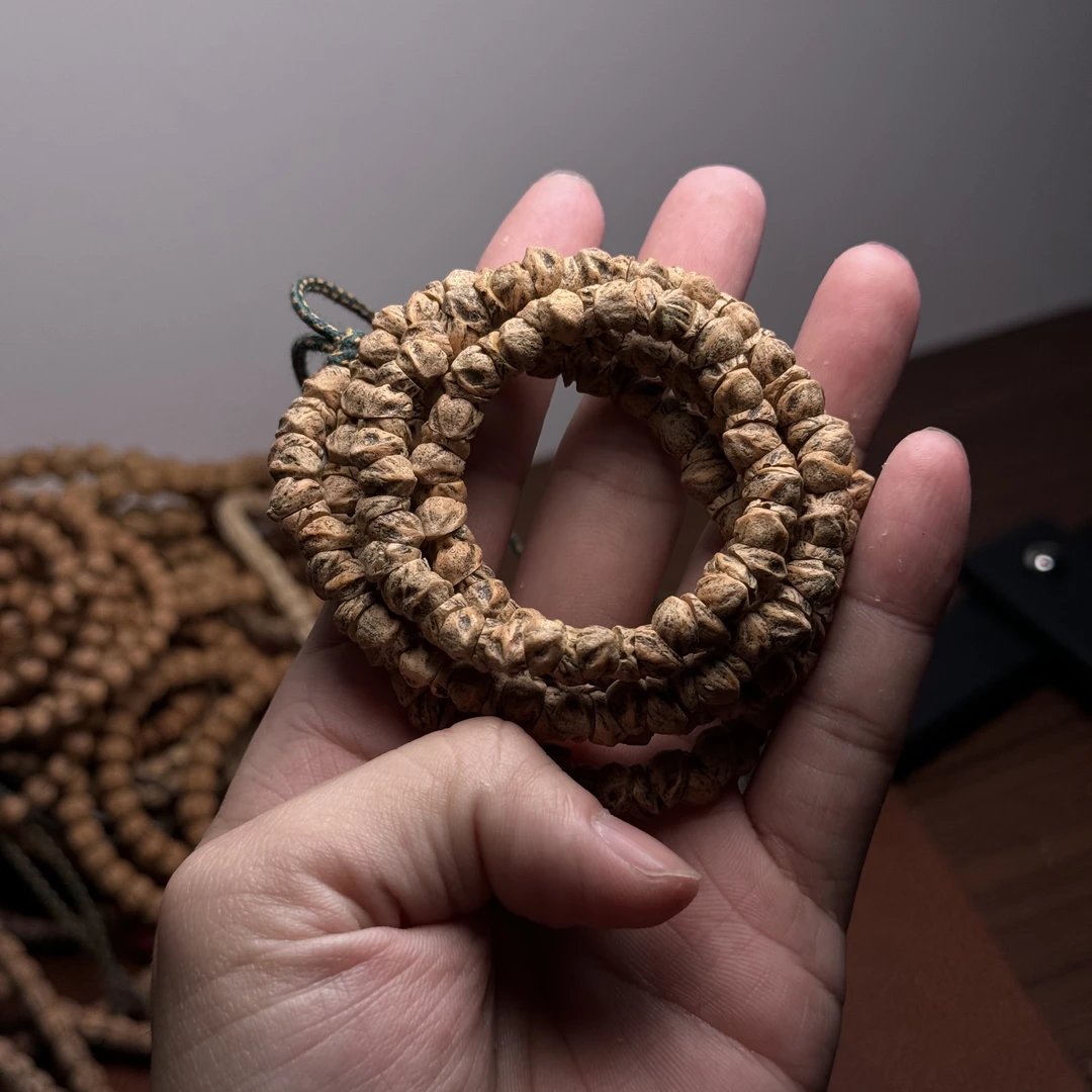 热振柏香籽鬼蛇龙肠新工艺