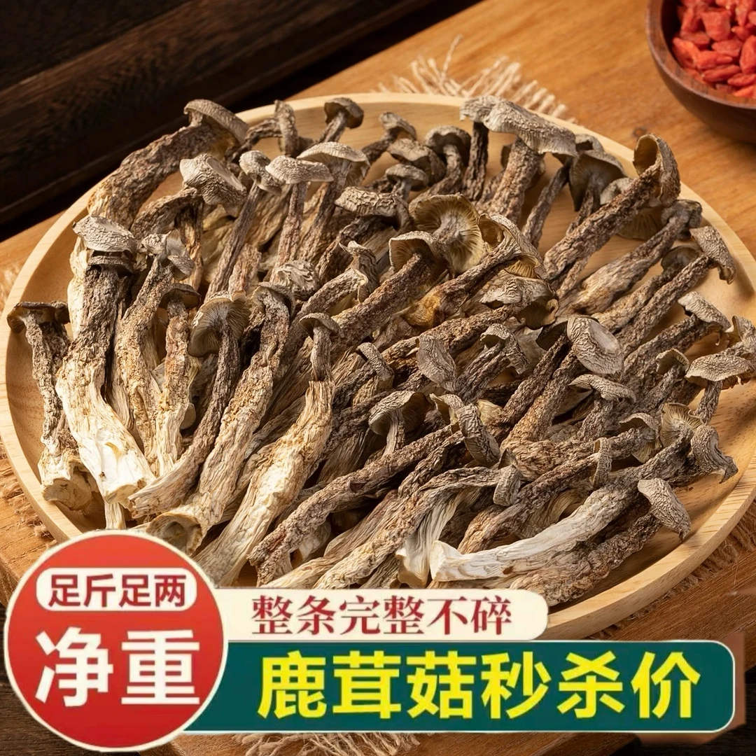 直播价鹿茸菇新货500g头茬大促活动高山无硫无熏干货凉拌炒肉煲汤