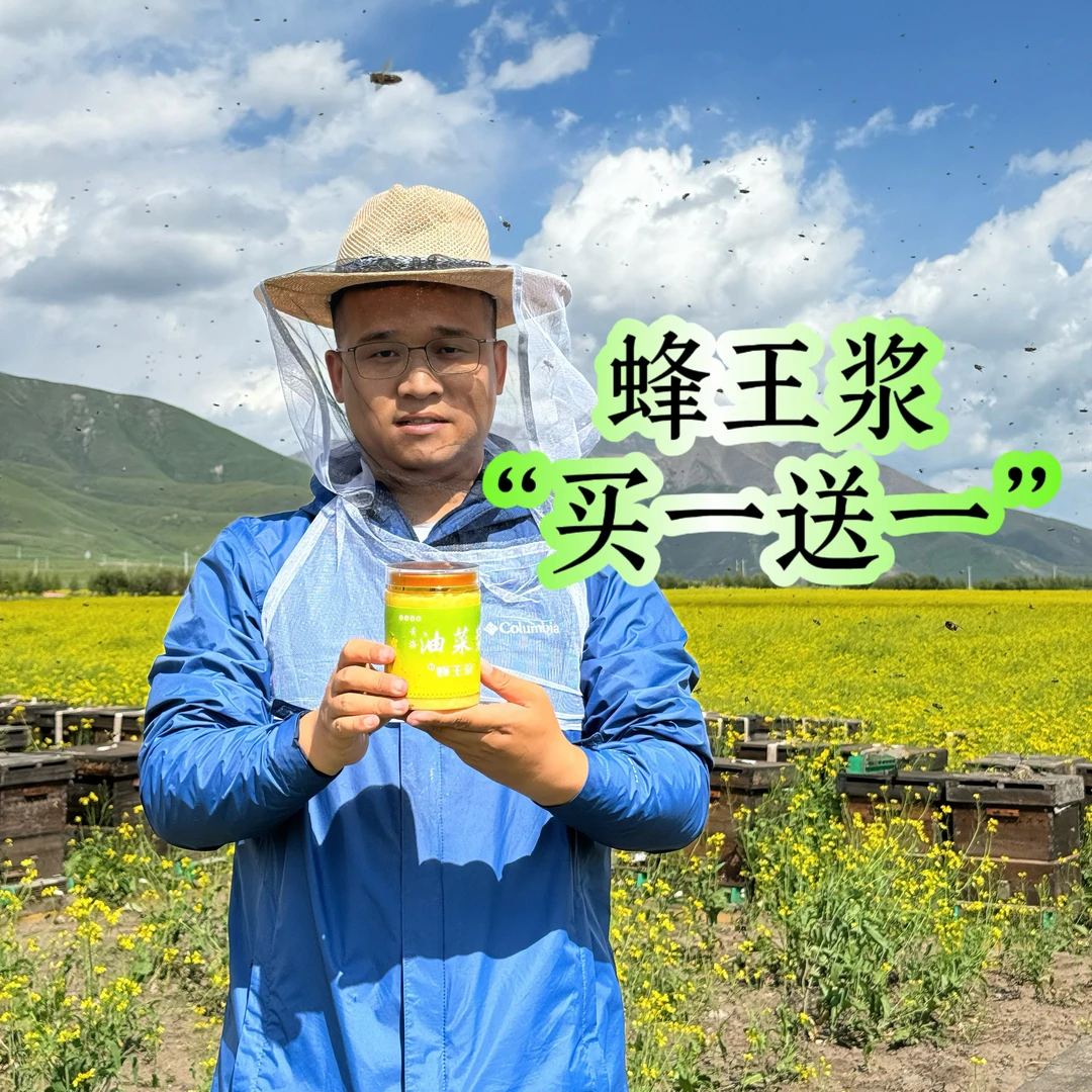 勤蜂漫野鲜蜂王浆青海高原（蜂场追花搬家目前安徽发货）养生滋补