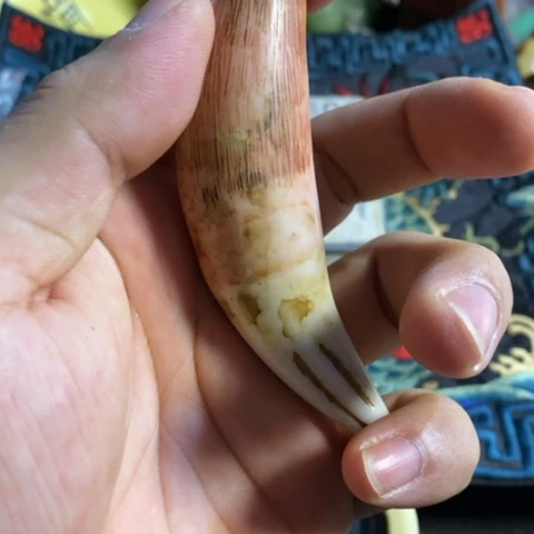 大哥专拍链接一号