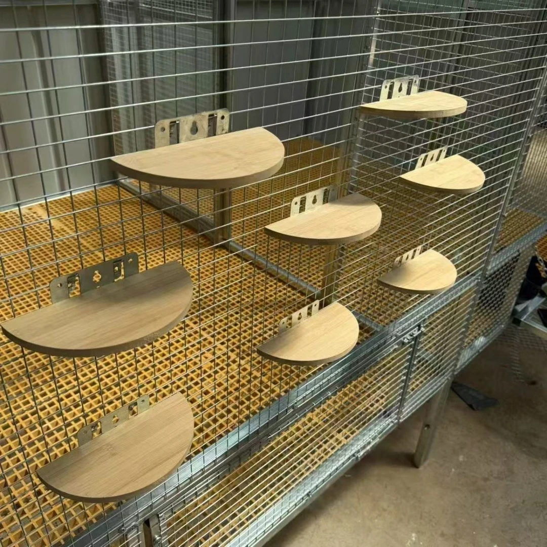 鸽子竹木挂钩站架