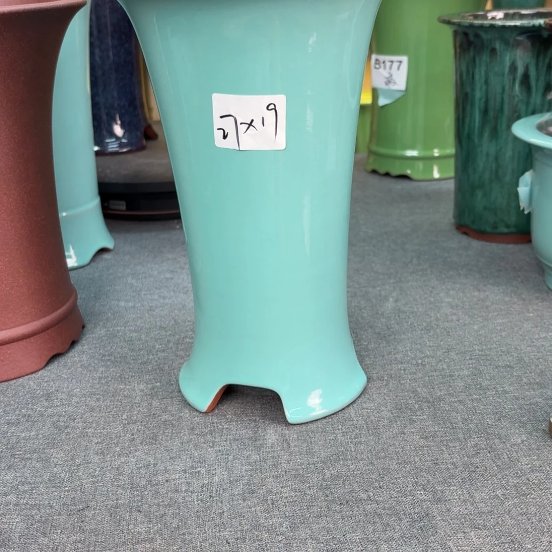 顧***憶紫砂花盆兰花1588568562588