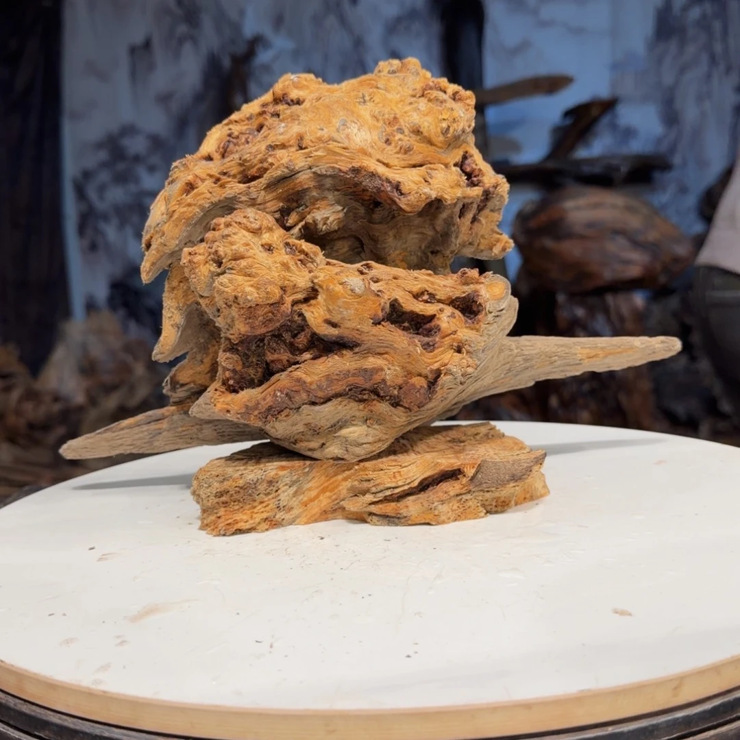 行***少木三丰琥珀木 天然摆件2