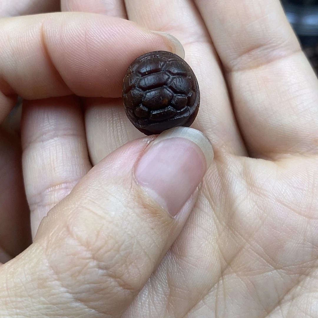 贡木手串/手链1515巴布亚新几内亚贡